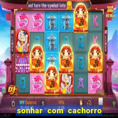 sonhar com cachorro cruzando jogo do bicho